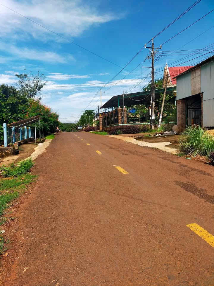 Đất nền tại Bình Hiếu, Bình Tân, Đồng Nai 986m² giá 2.4 tỷ - Đường nhựa lớn tiện lợi!