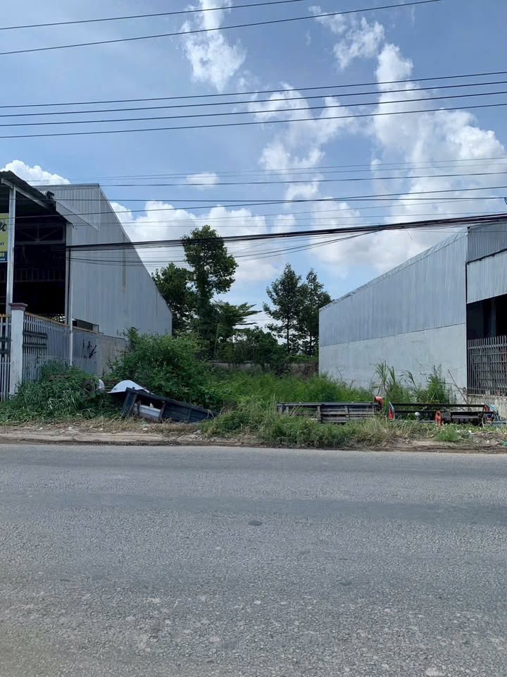 Đất nền xã Bình Hoà, Châu Thành, An Giang 526,4m² - Mặt tiền rộng 14,5m, tiện lợi kinh doanh!