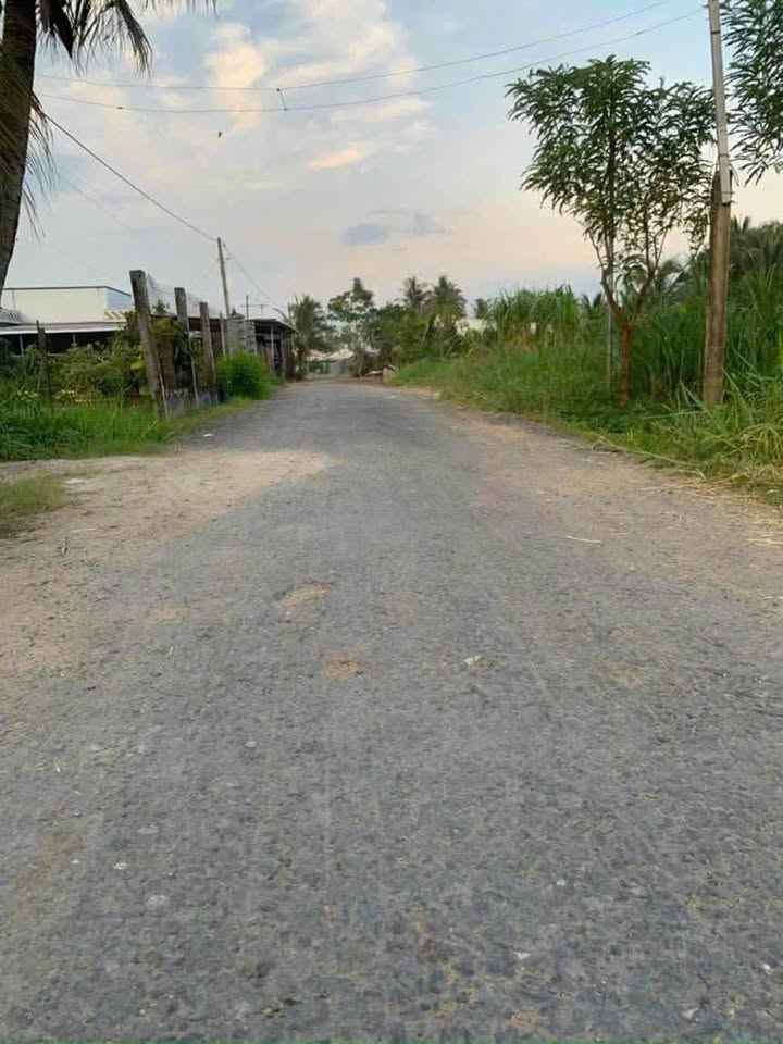 Đất mặt tiền đường nhựa Bình Xuân, Gò Công 262m² giá 850 triệu - Cơ hội đầu tư tuyệt vời!