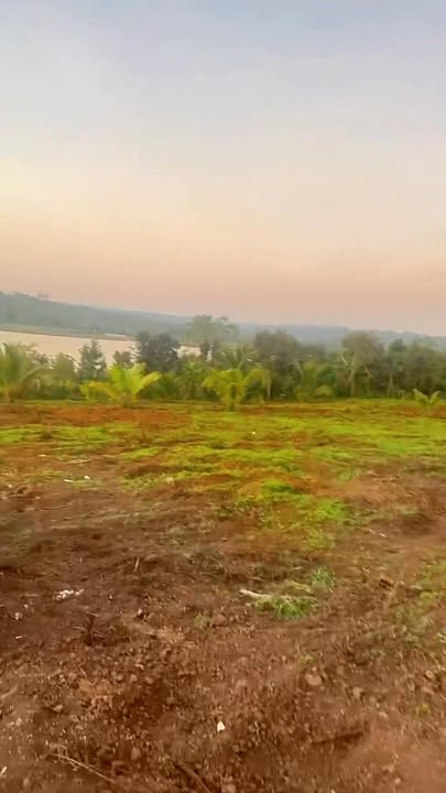 Đất thổ cư 185m² Ea Drông, Buôn Hồ chỉ 239 triệu - Cơ hội đầu tư hiếm có!