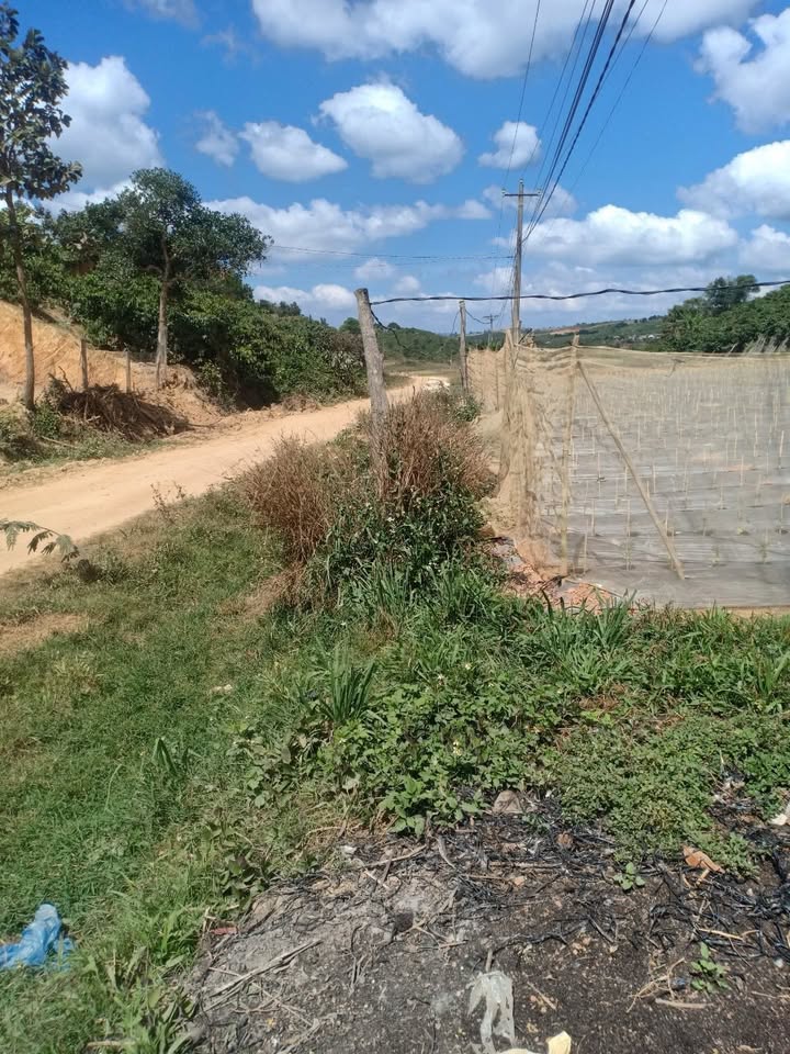 Lô đất Tà In, Đức Trọng 1395m² giá 8.5 tỷ - Cần bán nhanh chính chủ!