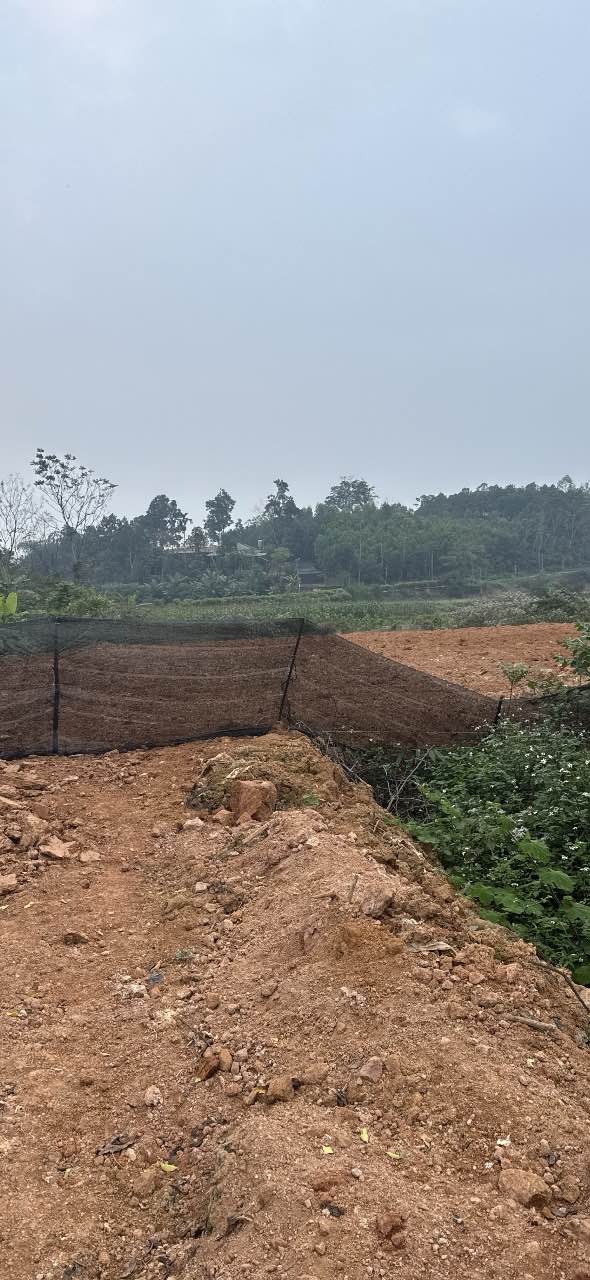 Đất nền Phú Hộ 670m² giá thỏa thuận - Cơ hội đầu tư hấp dẫn!