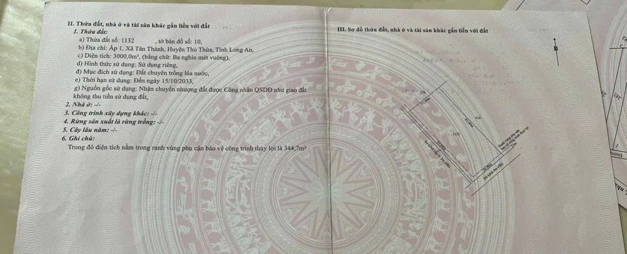 Đất lô góc 3000m² tại ấp 1, Tân Thành, Thủ Thừa - Giá chỉ 2.55 tỷ VND!