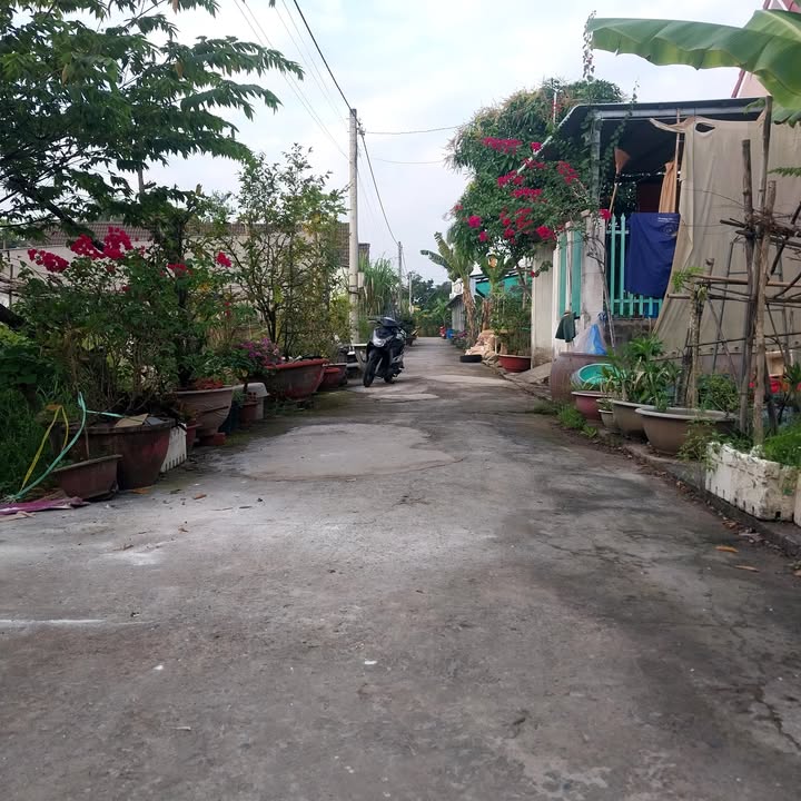 Đất nền Phường 5 Vĩnh Long 110m² giá 450 triệu - Cơ hội đầu tư sinh lời!