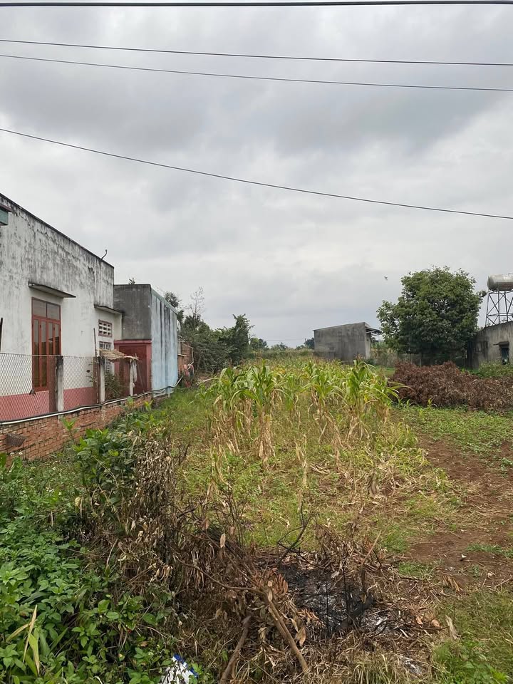 Đất nền kinh doanh Ea Kly 364m² giá 3xx triệu - Pháp lý rõ ràng sổ đỏ