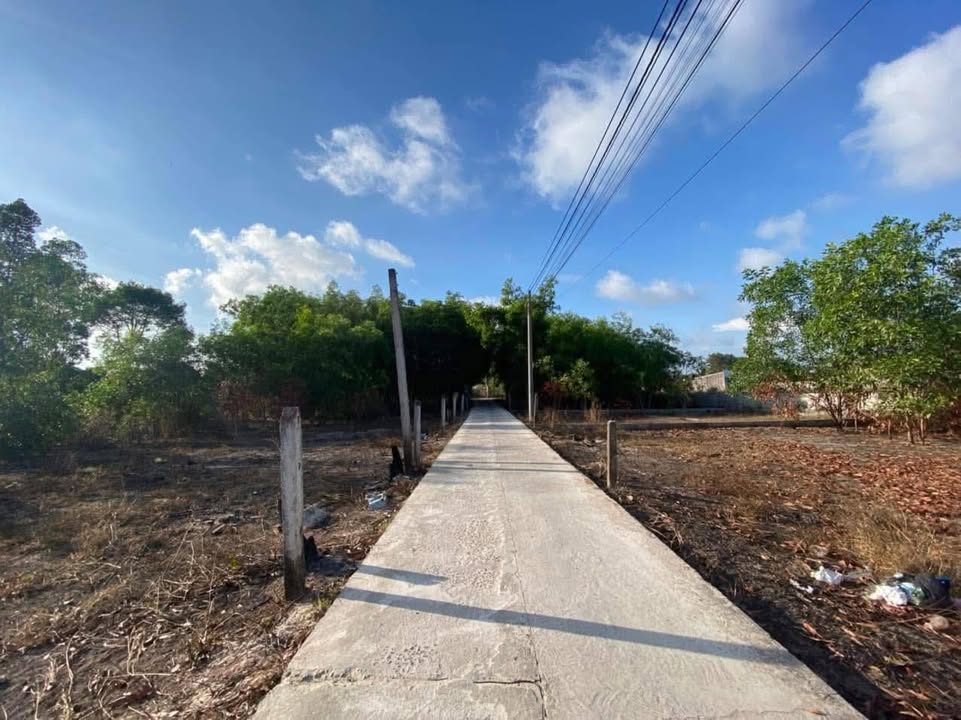 Đất nền thổ cư 85m² đường Nguyễn Chí Thanh, La Gi - Giá chỉ 750 triệu!