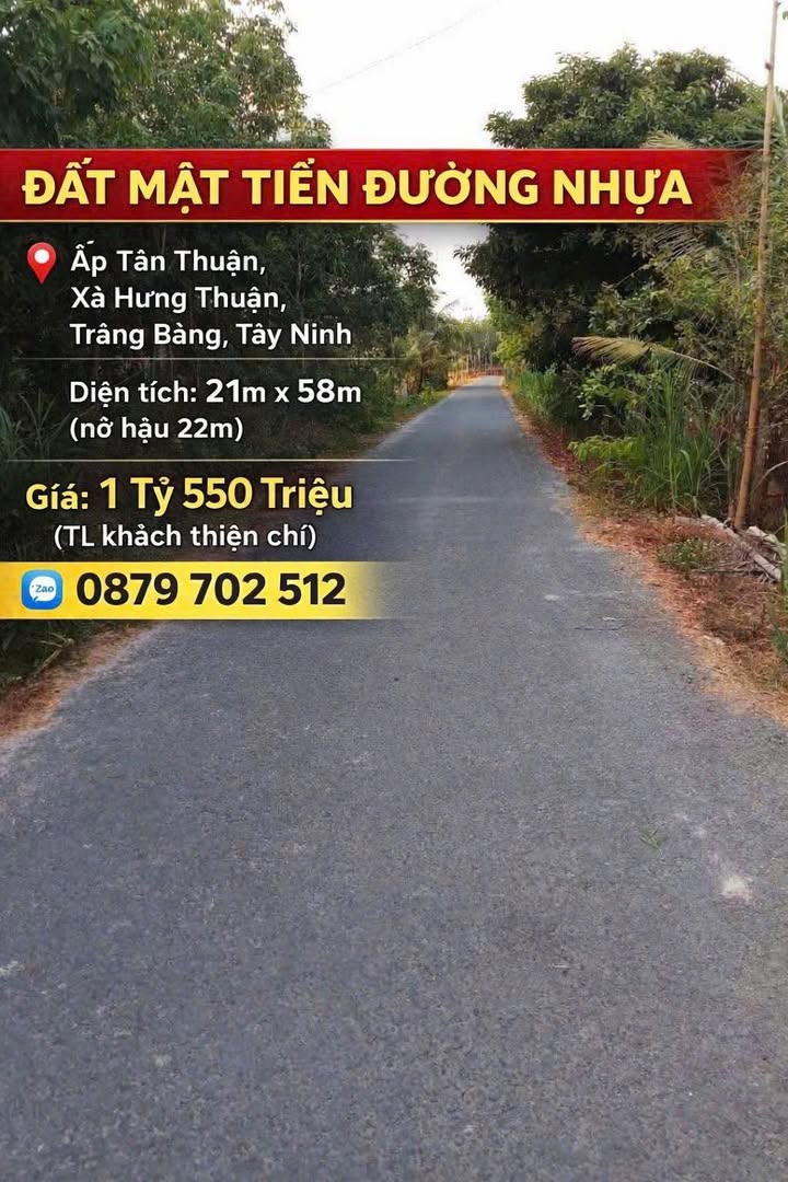 Đất mặt tiền đường nhựa Trảng Bàng, Tây Ninh 1218m² giá 1.55 tỷ - Tiềm năng đầu tư lớn!