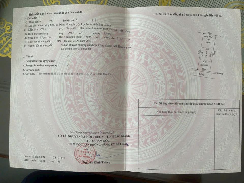 Đất nền Đông Hưng Lục Nam 300m² giá chỉ từ 100 triệu - Đầu tư sinh lời ngay!