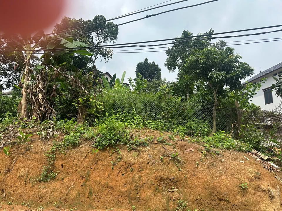 Đất nền khu phố 7, phường Vân Phú, 358.7m² - Giá cả cực hấp dẫn!