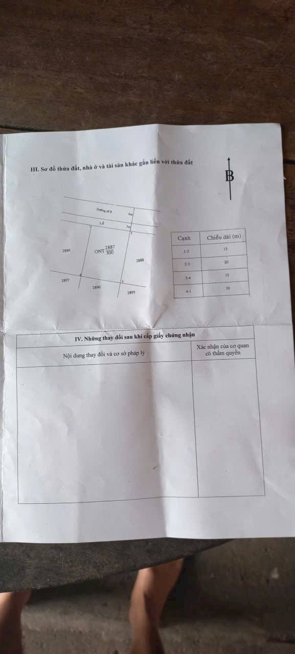 Đất nền Biệt thự Long Hậu 300m² giá 5.6 tỷ - Sổ đỏ sang tên ngay!