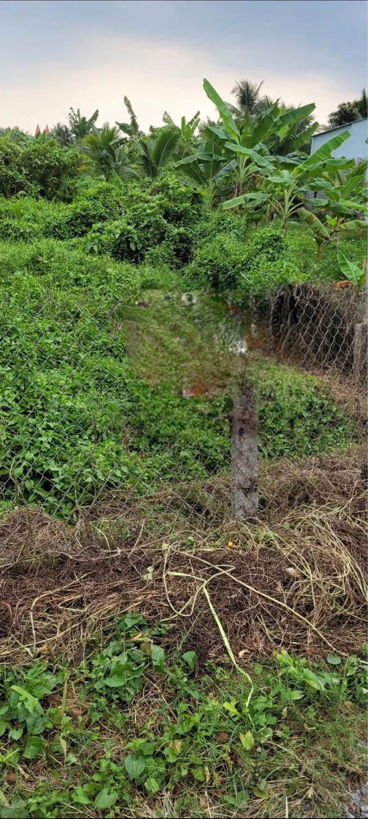 Đất mặt tiền đường nhựa 432m² tại phường Long Châu - Giá chỉ 5,5 triệu/m², thương lượng thoải mái!