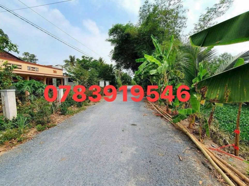 Đất nền mặt tiền nhựa Tân Phú Trung 240m² giá 570 triệu - Sổ hồng chính chủ!