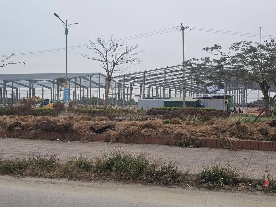 Đất nền Hoằng Đạo, Hoằng Hóa 126m² - Đối diện công ty may Thịnh Vượng, vị trí đẹp để đầu tư!