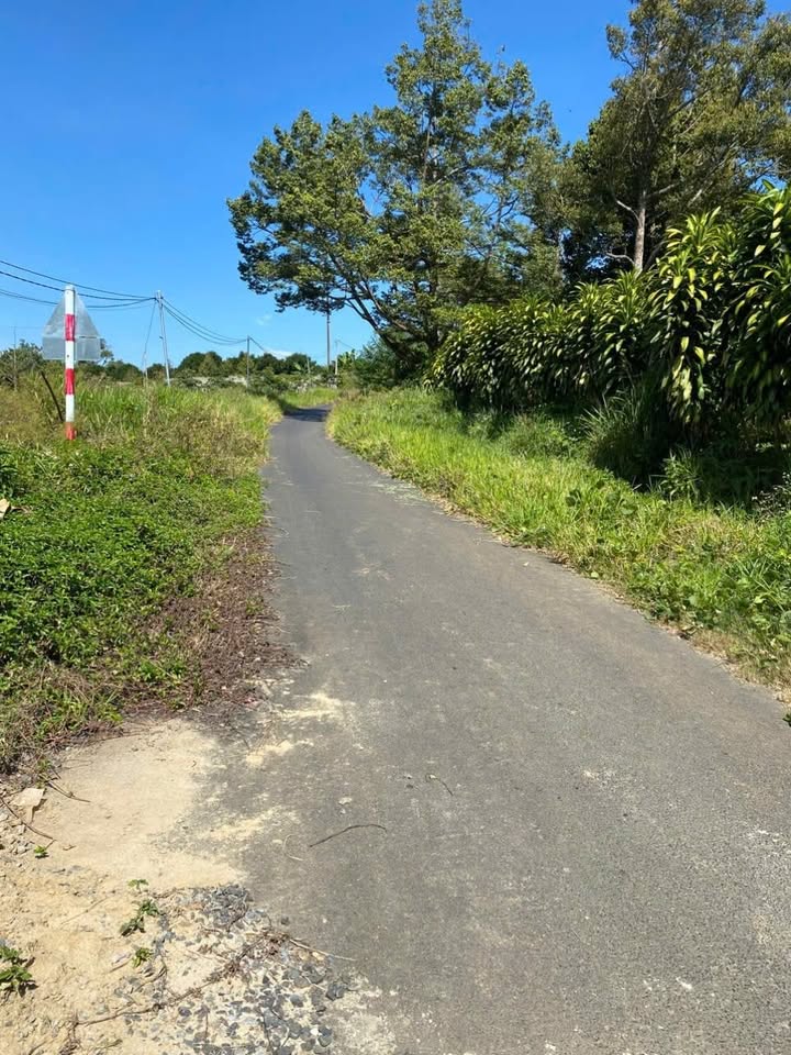 Đất mặt tiền đường Triệu Quang Phục 1953m² giá 4.6 tỷ - Tiềm năng đầu tư lớn!