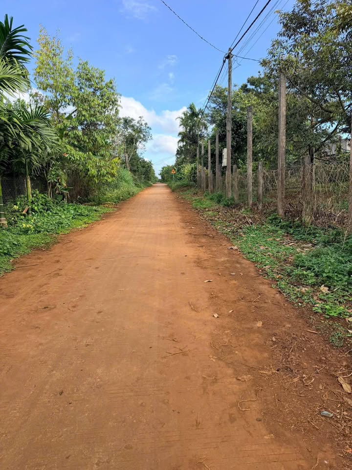 Đất mặt tiền Mai Xuân Thưởng, Đạt Hiếu, Buôn Hồ 175m² - Tiềm năng đầu tư cao!