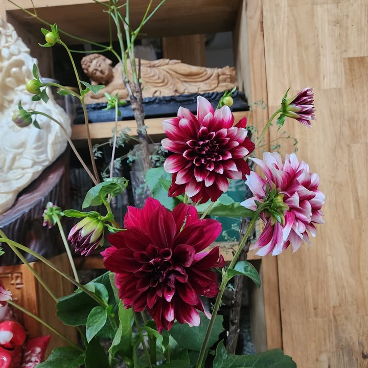 Nhà hẻm Lạc Long Quân, Tân Bình 26,5m² giá 3,25 tỷ - Tiện xây mới theo nhu cầu!