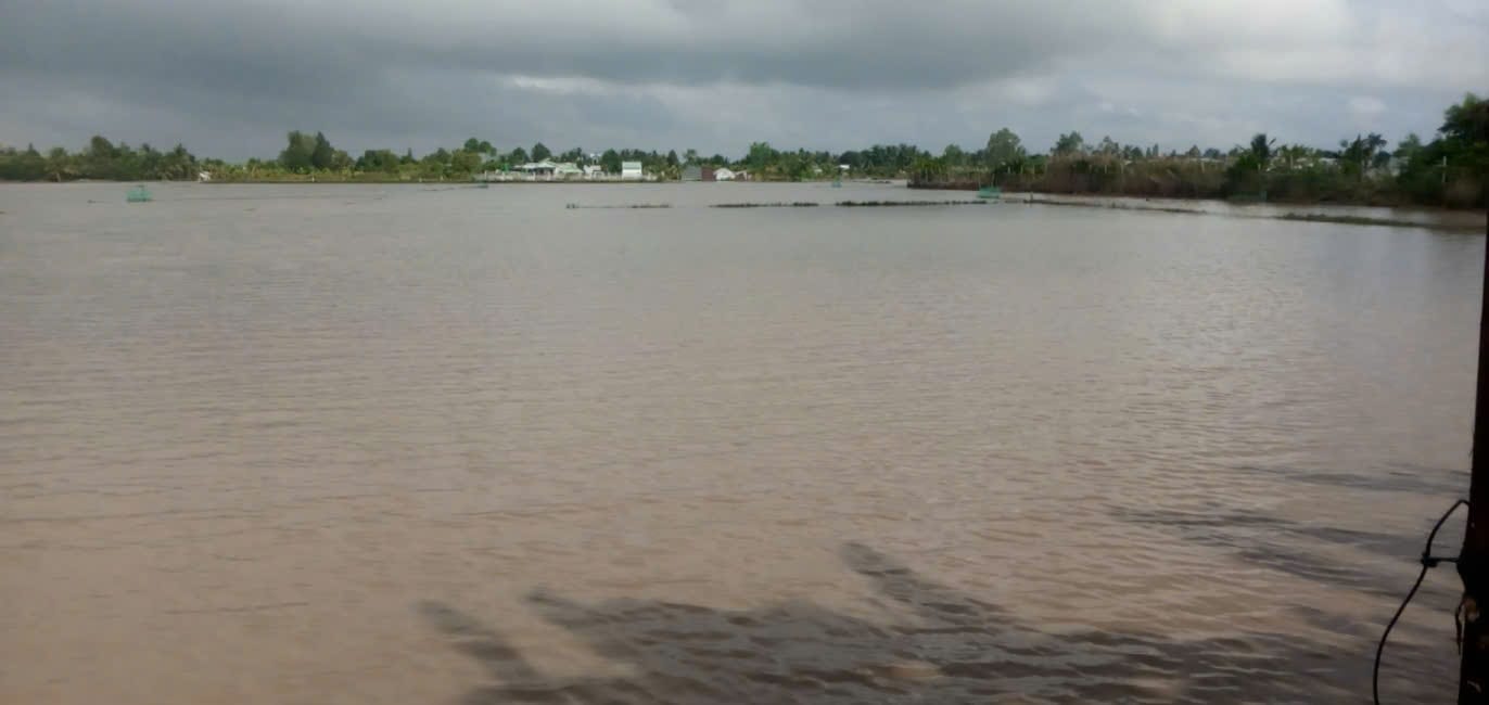 Đất mặt tiền Nguyễn Văn Nhị, Tân Hiệp, 3300m² giá 700 triệu - Cơ hội đầu tư sinh lời!