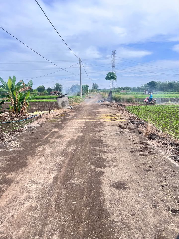 Đất nền Thống Nhất 1700m² giá 199 triệu - Cơ hội đầu tư hấp dẫn!