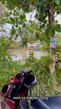 Đất Farm 3550m² tại Ấp Đông Lợi, Xã Phú Hữu, Giá 1.6 tỷ - Cơ hội đầu tư sinh lời!