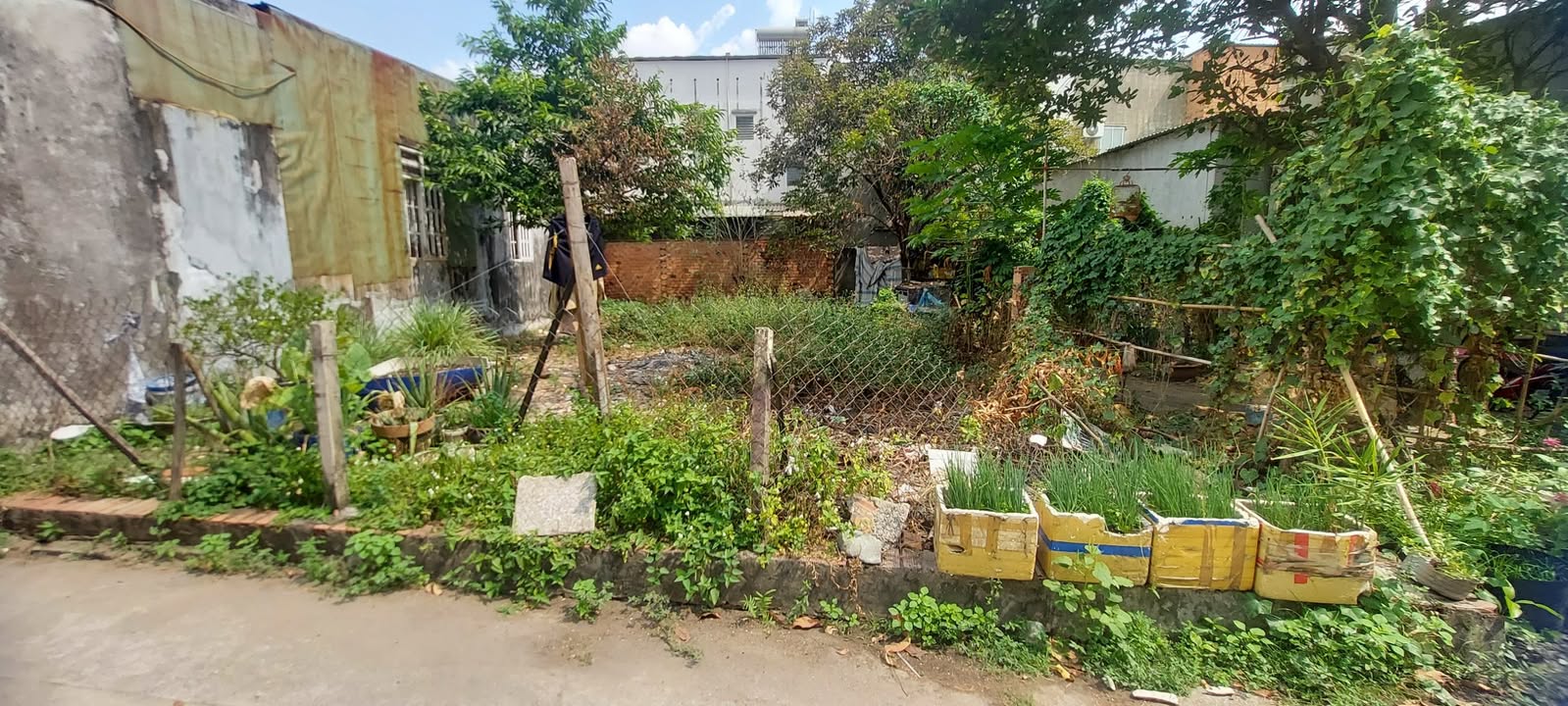 Đất nền Hóc Môn 144m² giá 1.65 tỷ - Sổ hồng riêng, cơ hội đầu tư tốt!