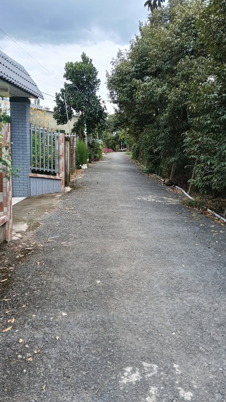 Đất nền 1450m² tại Ấp 4, xã Cẩm Sơn, huyện Cai Lậy - Giá chỉ 900 triệu!