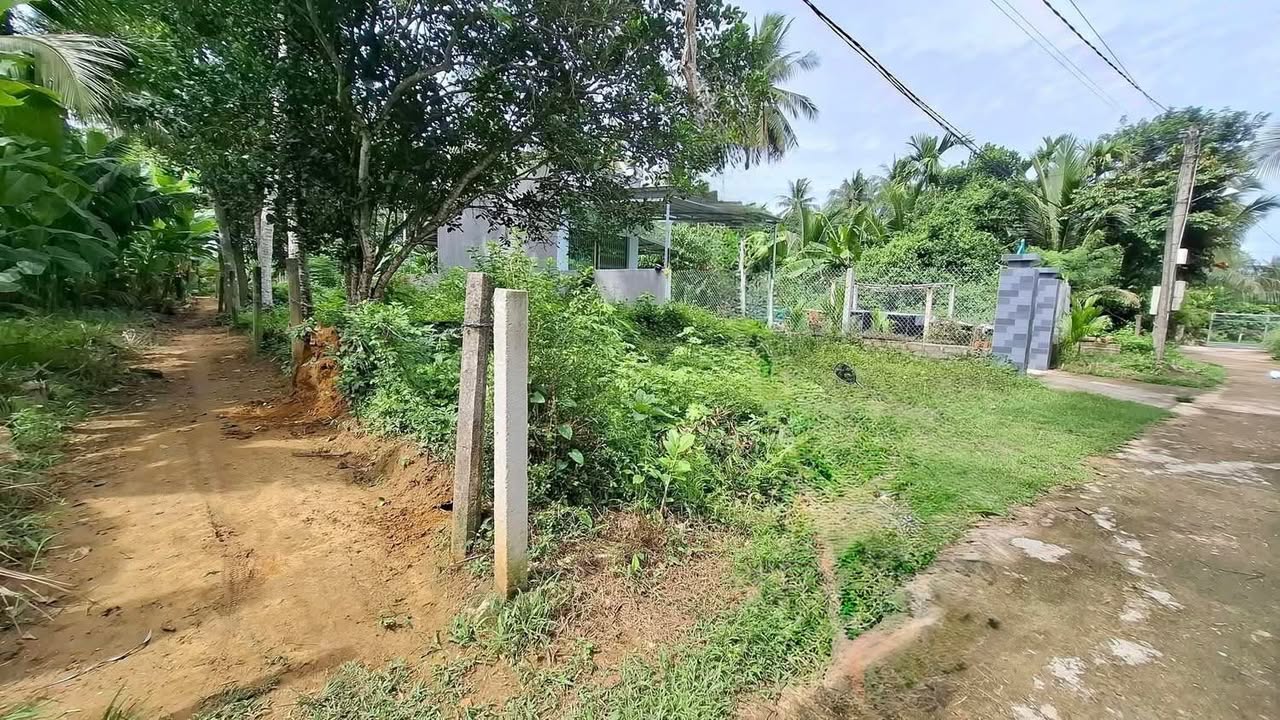 Đất nền lô góc 2 mặt tiền Bồng Sơn 124m² giá 2xx triệu - Cơ hội tuyệt vời cho gia đình trẻ!