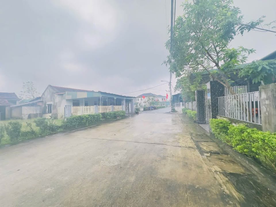 Đất thổ cư thôn Đông Vĩnh Mai Phụ 164m² giá 1.5 tỷ - Đường bê tông thông thoáng!