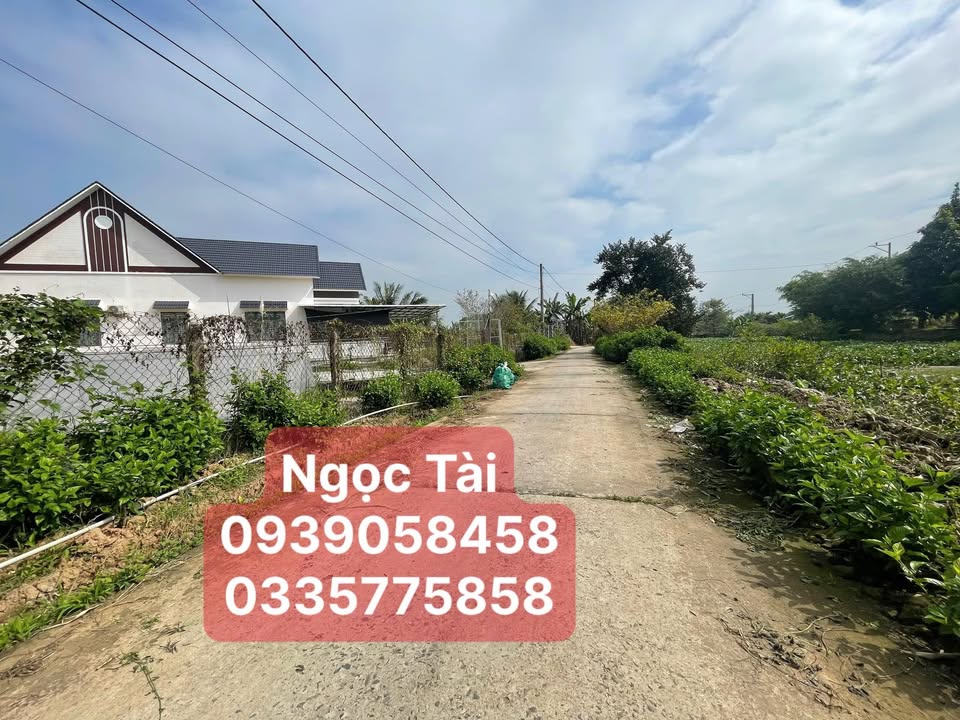 Đất nền Tân Dương 197m² giá 800 triệu - Gần trung tâm Sa Đéc!