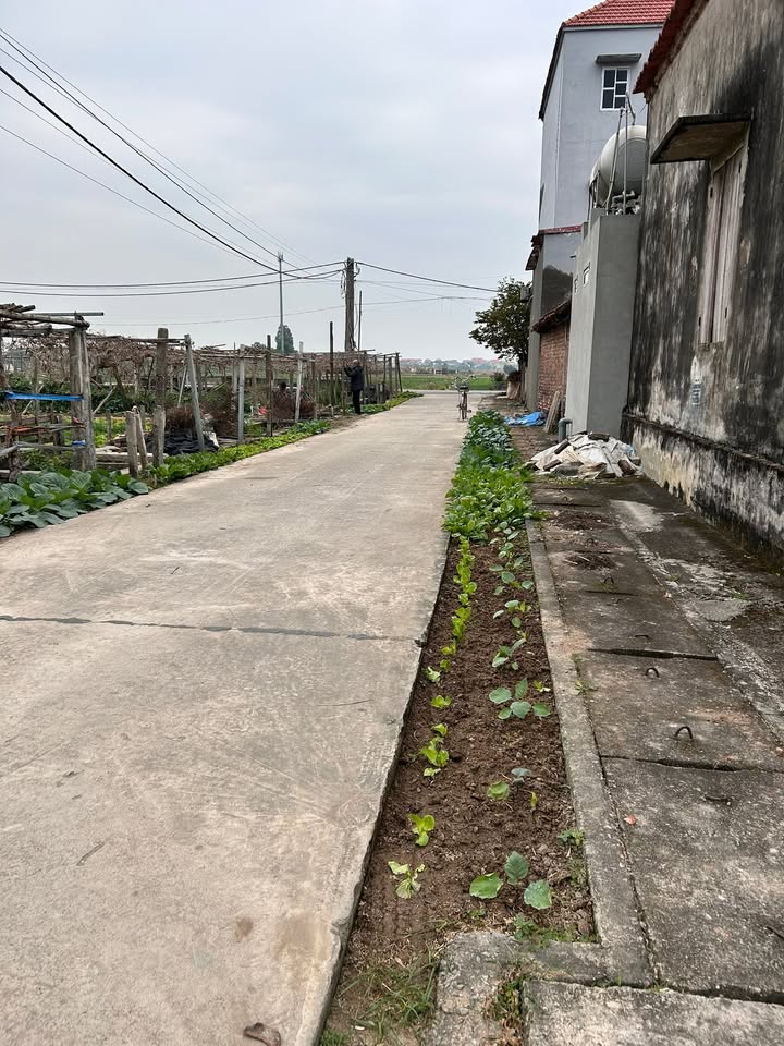 Đất nền 50m² tại TDP Chè, Ninh Xá, Thuận Thành - Giá 1.65 tỷ, xe 7 chỗ vào tận nơi!