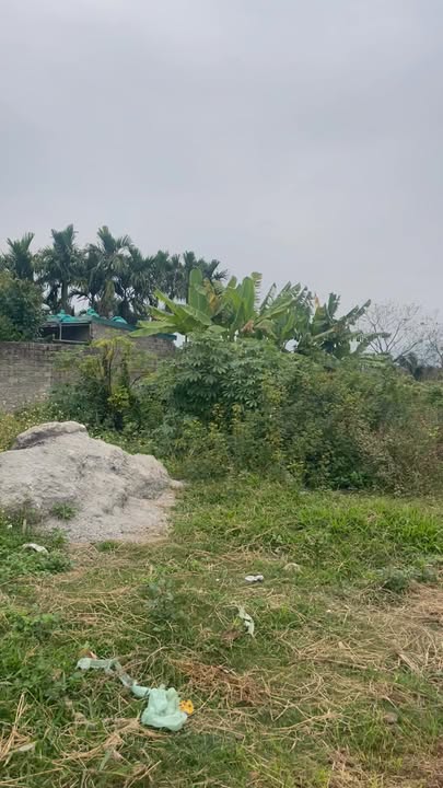 Đất thổ cư Sông Khoai, Quảng Yên 230m² giá chỉ 1 tỷ - Cơ hội đầu tư tuyệt vời!