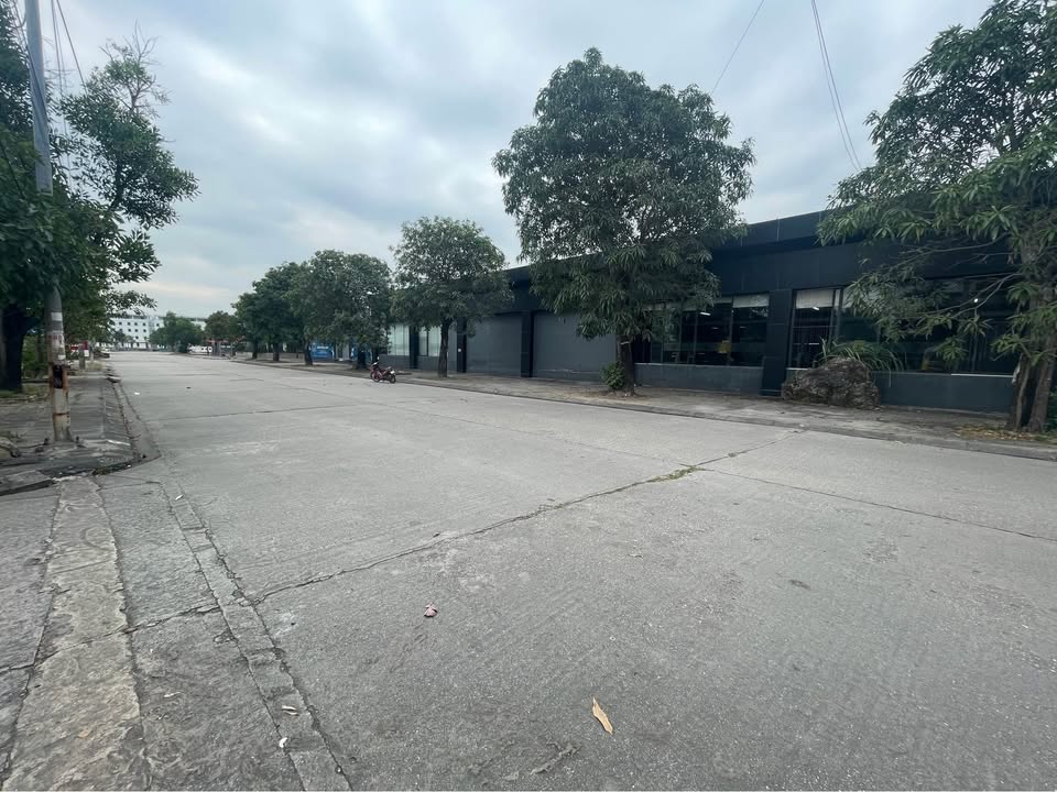 Lô đất biệt thự góc 2 mặt tiền đường Thanh Niên, Cẩm Phả 352m² giá 10.6 tỷ - Cơ hội đầu tư tuyệt vời!