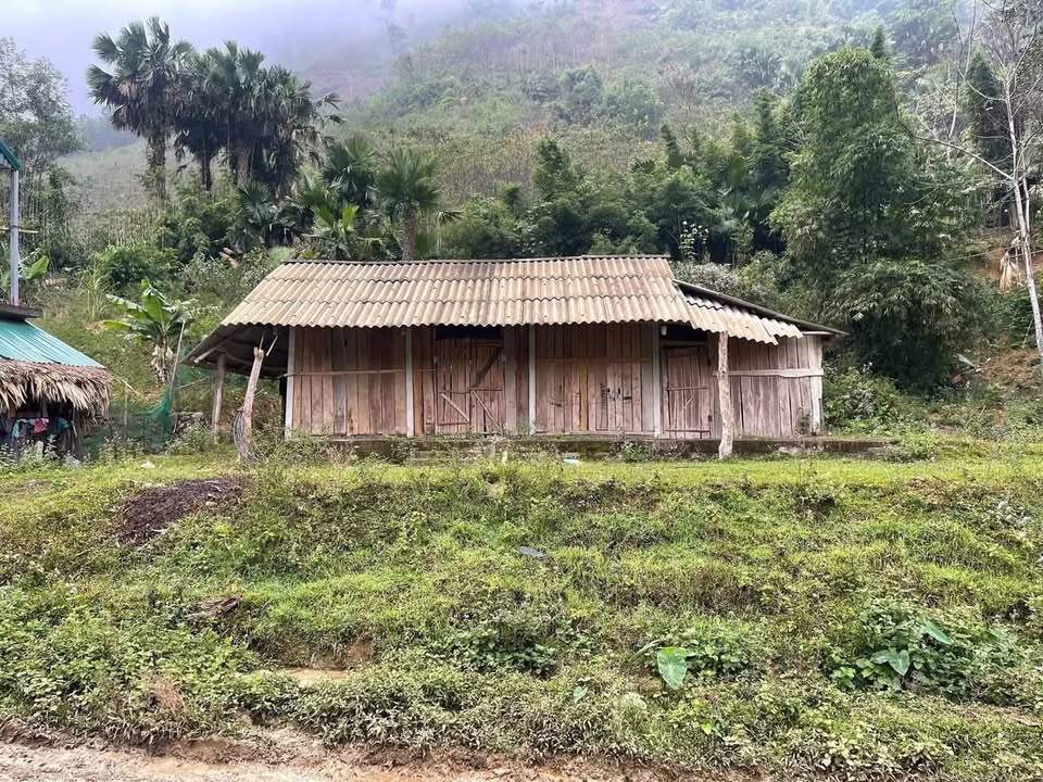 Đất 1000m² Tân Minh, Đà Bắc giá 350 triệu - Cơ hội đầu tư tuyệt vời!