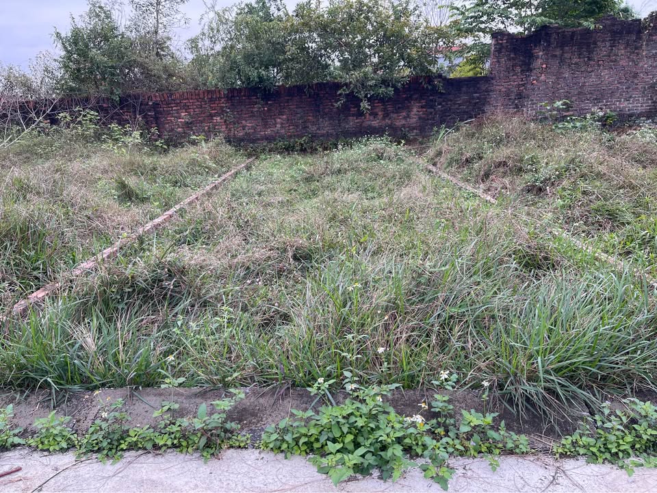 Đất nền Phù Linh Sóc Sơn 51m² giá 1.1 tỷ - Tiện ích đa dạng, giao thông thuận lợi!