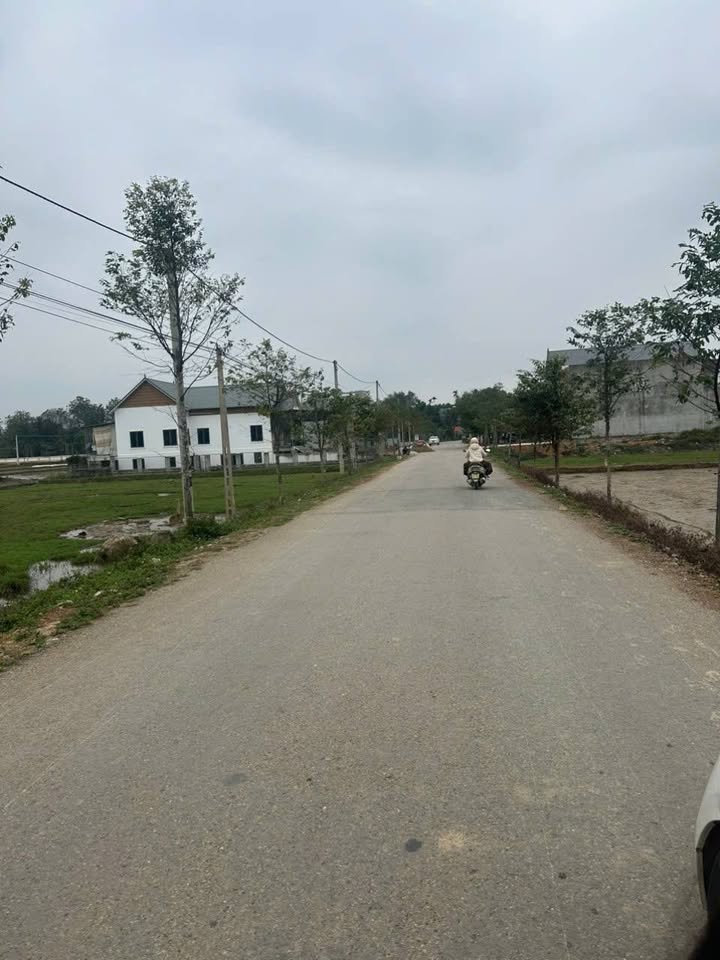 Đất nền thôn Quần Thọ, xã Yên Thọ, Như Thanh 192.5m² giá 1.3 tỷ - Đầu tư sinh lời ngay!