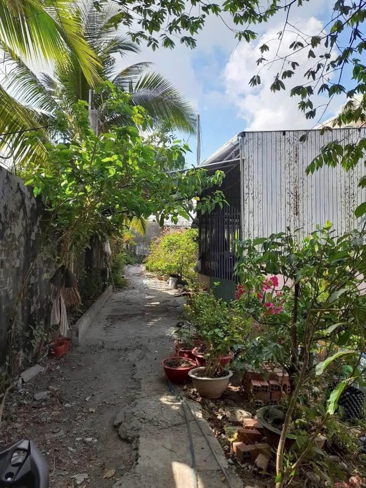 Đất nền hẻm 3 Cầu Sáng, TP Bạc Liêu 198.75m² giá 470 triệu - Đầu tư sinh lời ngay!