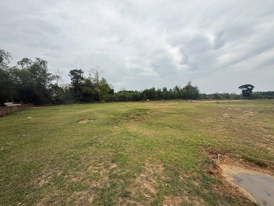 Đất Farm 9.524m² Trung Giã - Sóc Sơn, Hà Nội chỉ 3 triệu - Tiềm năng đầu tư lớn!