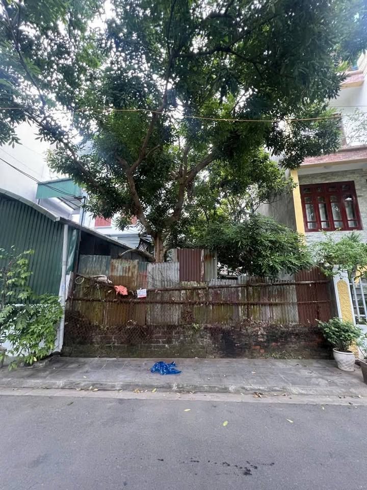 Lô đất đẹp tại Đức Giang, Long Biên 175m² giá thỏa thuận - Cơ hội vàng đầu tư!