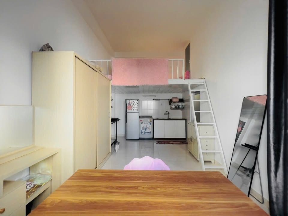 Căn hộ Duplex cho thuê tại Nhất Chi Mai, Tân Bình - Không gian thoáng đãng, giá tốt!