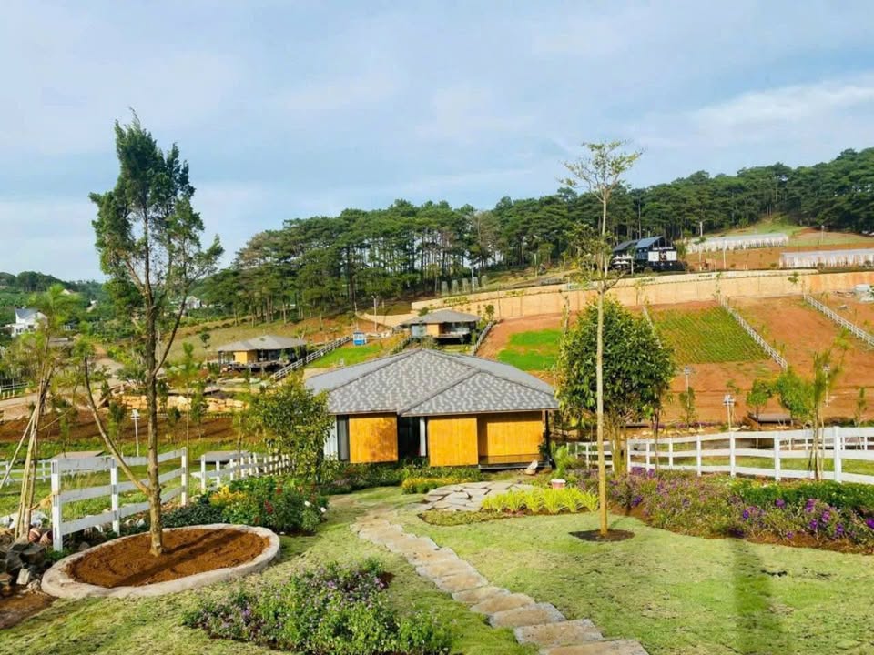 Đất mặt tiền đường 715, Thiện Nghiệp, Phan Thiết 574m² giá 3.3 tỷ - Đầu tư sinh lời ngay!