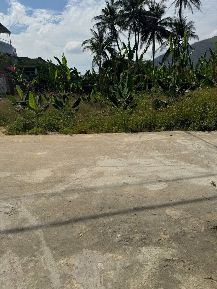 Đất nền Diên An, huyện Diên Khánh 87m² giá 1.499 tỷ - Vị trí đắc địa gần chợ, trường học!