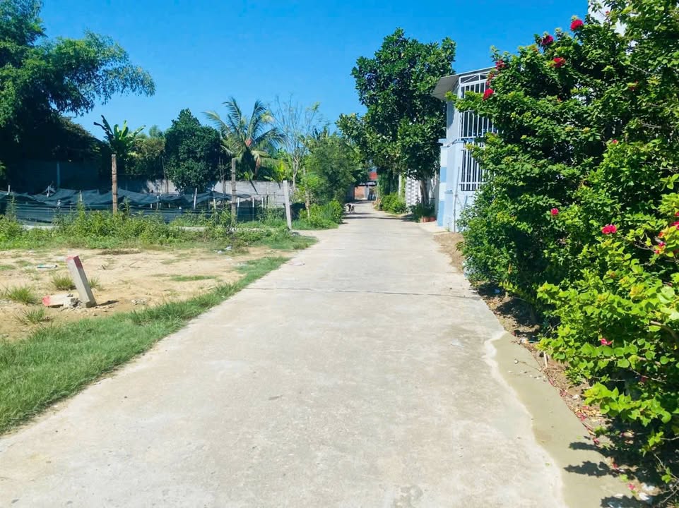 Đất Diên Toàn 97m² giá 1.099 tỷ - Sổ hồng chính chủ, gần chợ Dốc Bà Tùng!