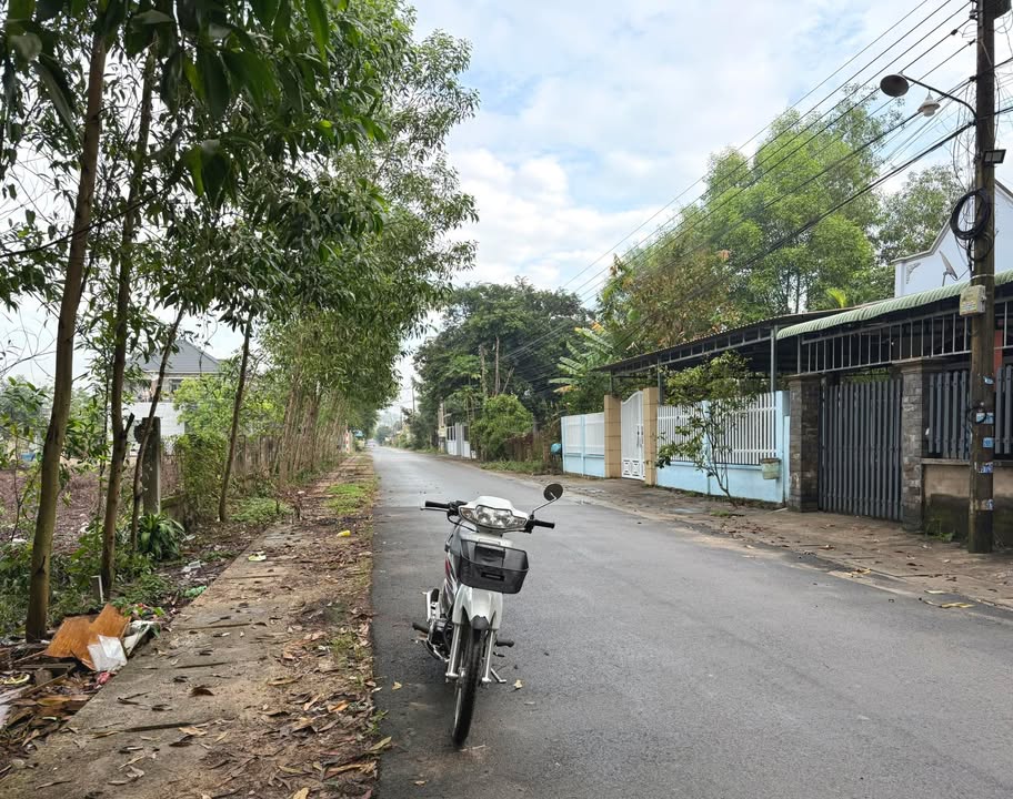 Đất nền ấp Tân Hiệp 5, xã Phước Thái, 100m² giá 1.55 tỷ - Sổ riêng, thổ cư hoàn chỉnh!