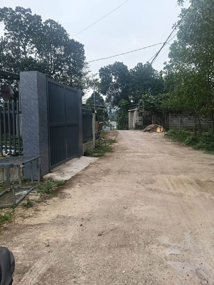 Đất nền Hòa Khánh, Liên Chiểu 310m² giá 1.75 tỷ - Sổ đỏ chính chủ!