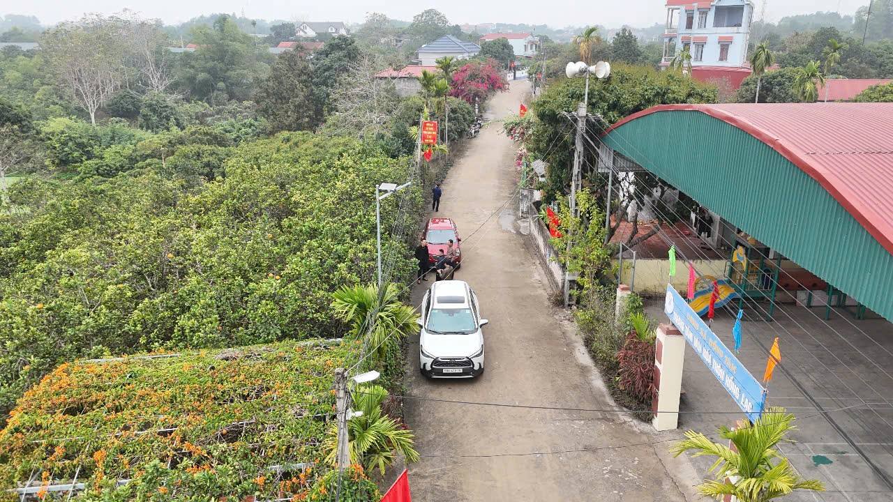 Lô đất vườn Đồng Tâm Yên Thế 1109m² giá chỉ 1,5 tỷ - Đầu tư sinh lời ngay!