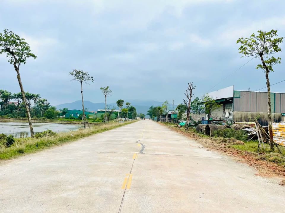 Đất mặt đường Nguyễn Xí, phường Hà Huy Tập, 300m² - Vị trí đẹp, giao thông thuận lợi!