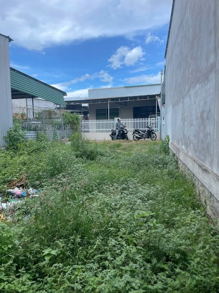 Đất thổ cư khu phố 10, xã Ninh Phước, Khánh Hòa 105m² - Hướng Đông, giá thỏa thuận