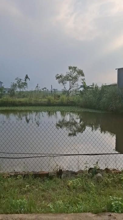 Đất nền Kỳ Trinh, Kỳ Anh 210m² giá 1 tỷ - Cơ hội đầu tư hấp dẫn!