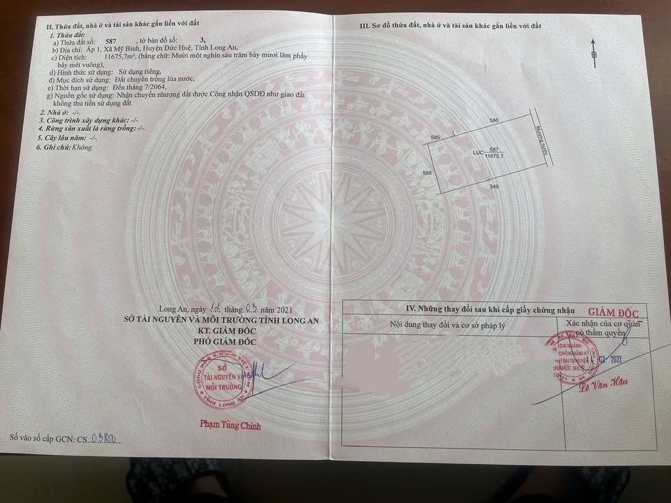 Đất nền 20.000m² đường Đá Xanh, xã Mỹ Bình, Đức Huệ - Sổ hồng chính chủ, giá tốt!