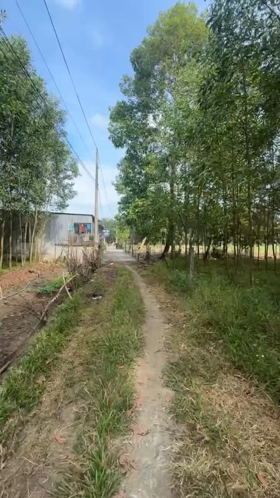 Đất nền Đồi 61, Trảng Bom 5,7 sào giá 5 tỷ - Đầu tư sinh lời ngay!