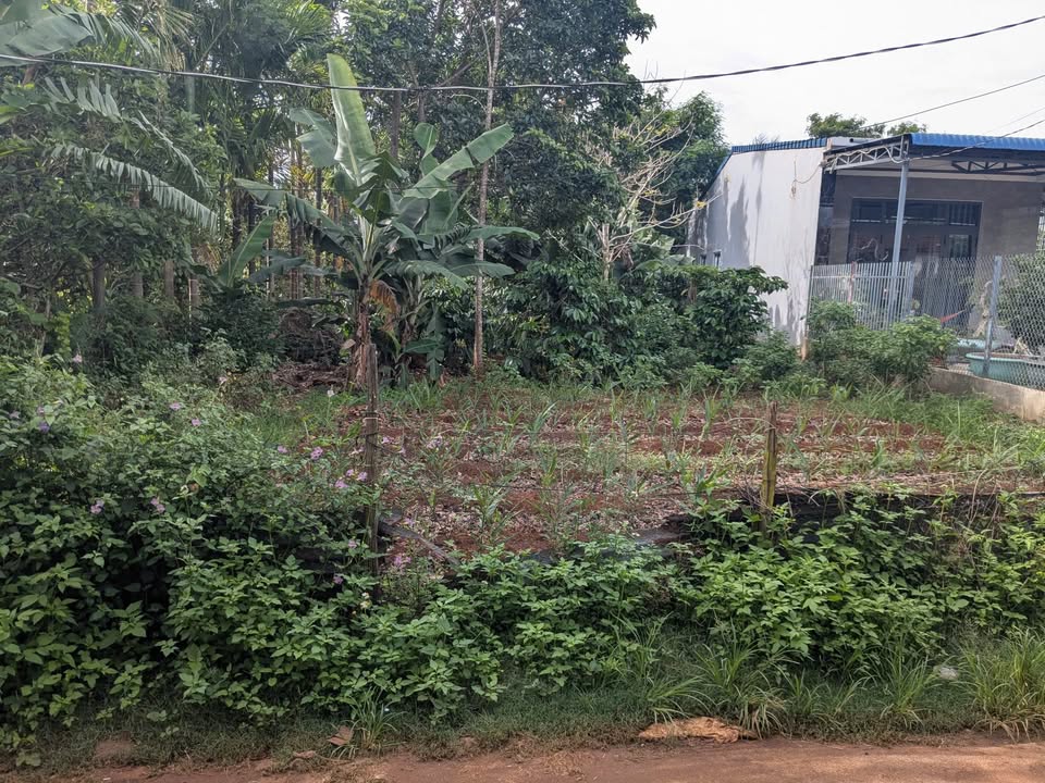 Đất thổ cư 100% xã Hòa Thuận 455m² giá 2.4 tỷ - Cơ hội đầu tư tuyệt vời!